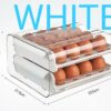 Acyric double egg tray